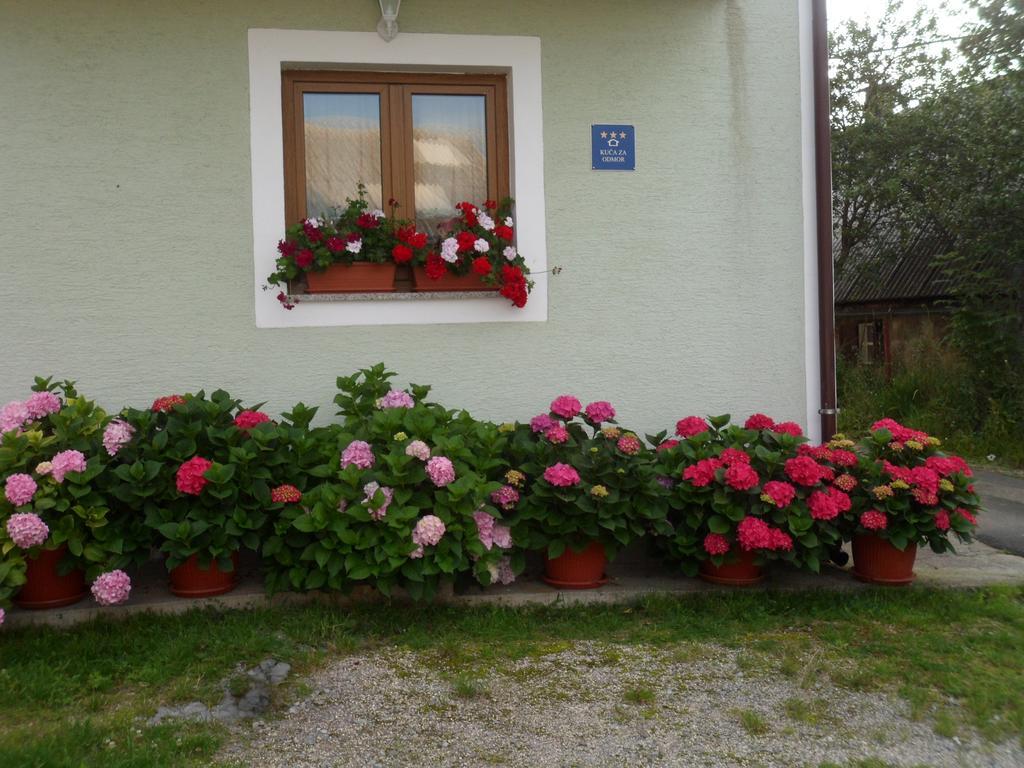 Vacation Home Kuca Za Odmor Красно Номер фото
